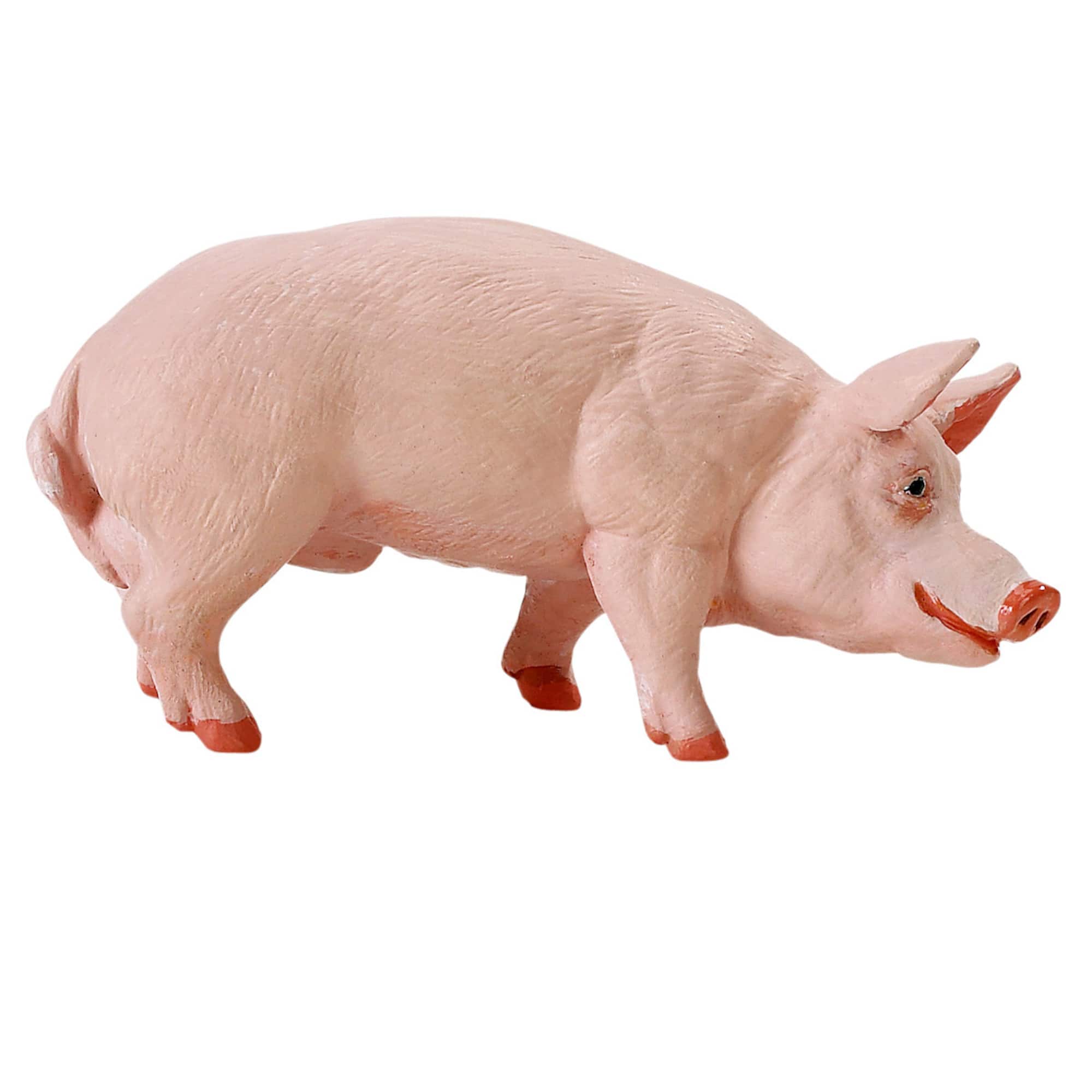 Safari Ltd® Boar